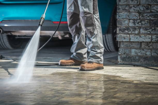Best Roof Washing  in Silver Creek, NY