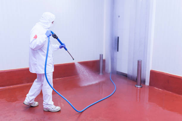 Silver Creek, NY Pressure Washing Services Company