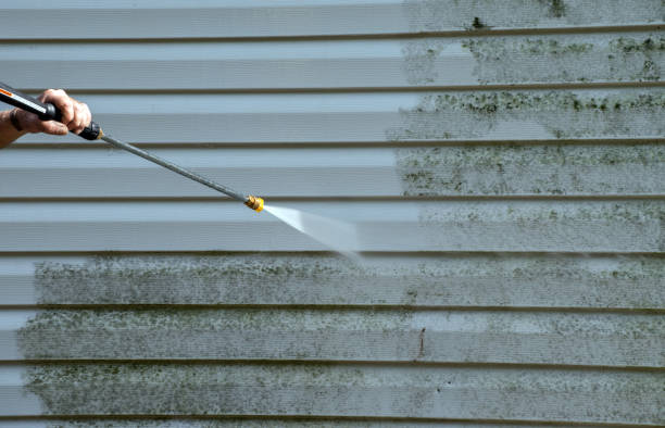 Best Building Exterior Washing  in Silver Creek, NY